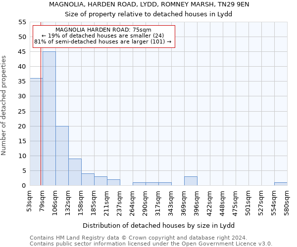 MAGNOLIA, HARDEN ROAD, LYDD, ROMNEY MARSH, TN29 9EN: Size of property relative to detached houses in Lydd