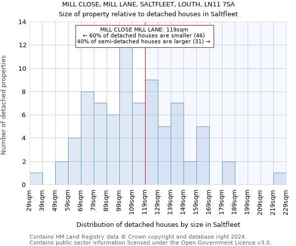 MILL CLOSE, MILL LANE, SALTFLEET, LOUTH, LN11 7SA: Size of property relative to detached houses in Saltfleet