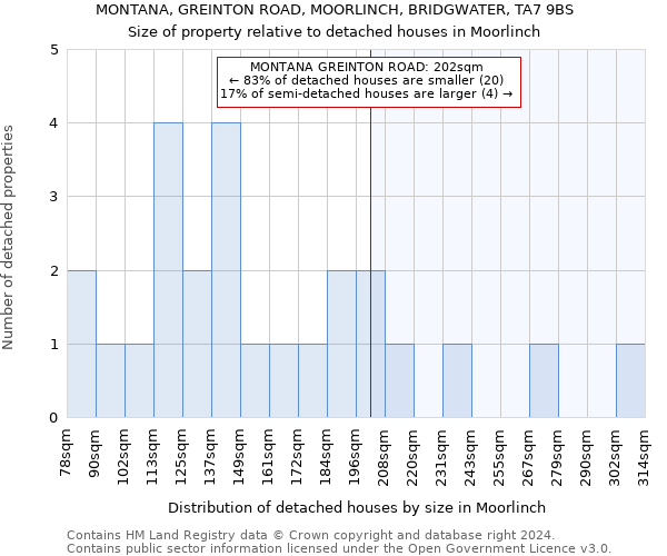 MONTANA, GREINTON ROAD, MOORLINCH, BRIDGWATER, TA7 9BS: Size of property relative to detached houses in Moorlinch