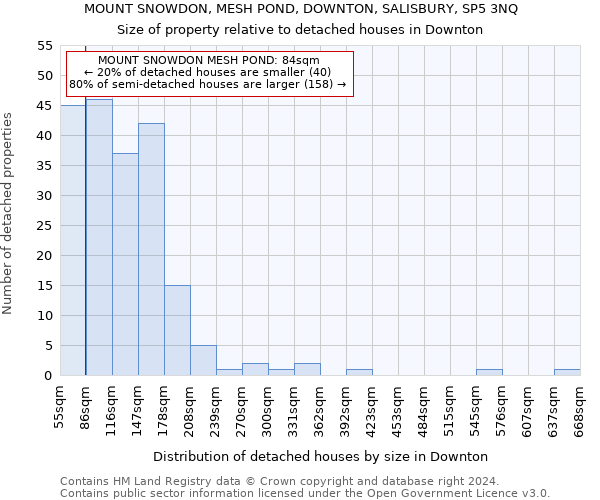 MOUNT SNOWDON, MESH POND, DOWNTON, SALISBURY, SP5 3NQ: Size of property relative to detached houses in Downton