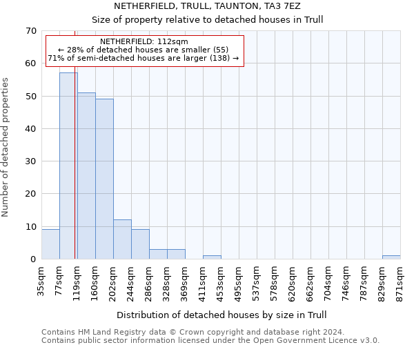 NETHERFIELD, TRULL, TAUNTON, TA3 7EZ: Size of property relative to detached houses in Trull