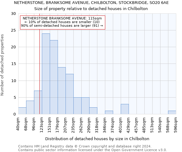 NETHERSTONE, BRANKSOME AVENUE, CHILBOLTON, STOCKBRIDGE, SO20 6AE: Size of property relative to detached houses in Chilbolton