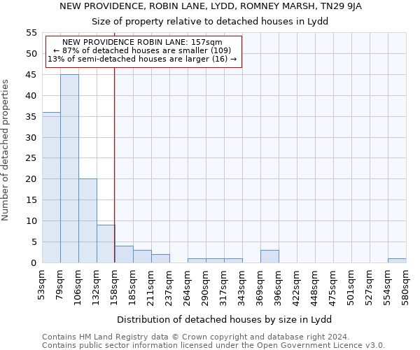 NEW PROVIDENCE, ROBIN LANE, LYDD, ROMNEY MARSH, TN29 9JA: Size of property relative to detached houses in Lydd