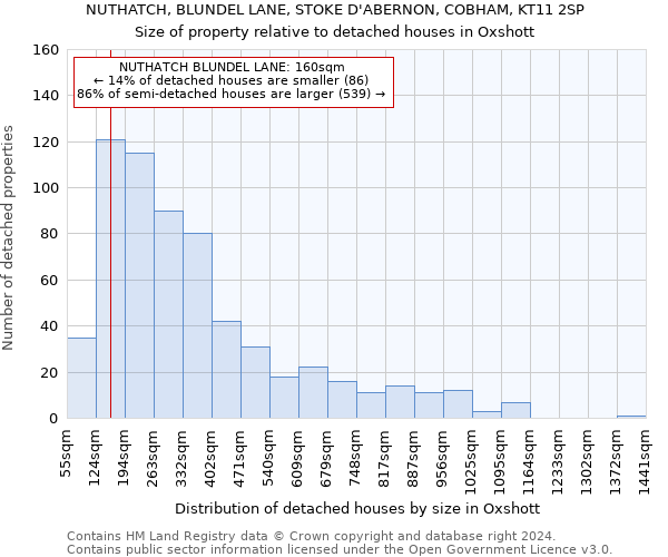 NUTHATCH, BLUNDEL LANE, STOKE D'ABERNON, COBHAM, KT11 2SP: Size of property relative to detached houses in Oxshott