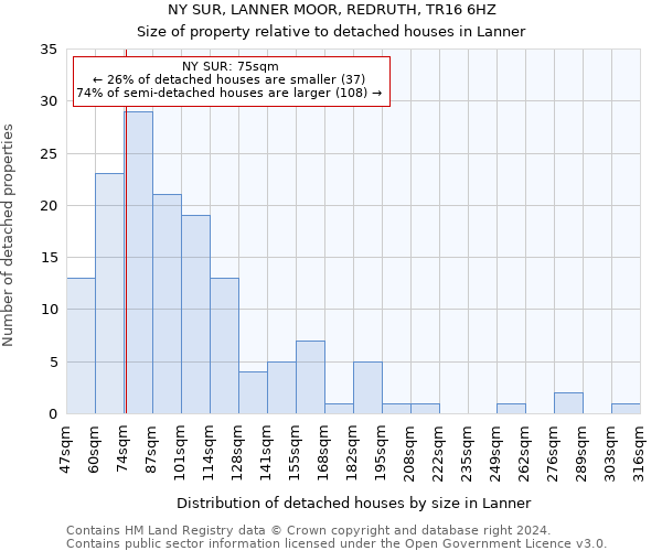 NY SUR, LANNER MOOR, REDRUTH, TR16 6HZ: Size of property relative to detached houses in Lanner