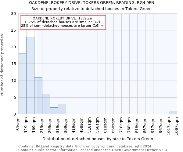 OAKDENE, ROKEBY DRIVE, TOKERS GREEN, READING, RG4 9EN: Size of property relative to detached houses in Tokers Green