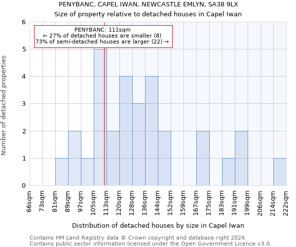 PENYBANC, CAPEL IWAN, NEWCASTLE EMLYN, SA38 9LX: Size of property relative to detached houses in Capel Iwan