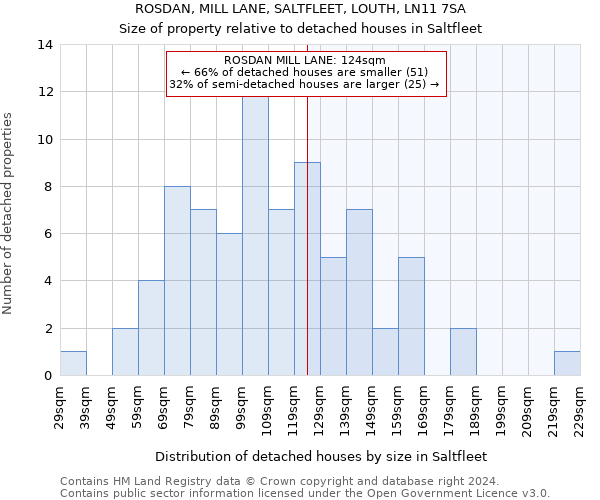 ROSDAN, MILL LANE, SALTFLEET, LOUTH, LN11 7SA: Size of property relative to detached houses in Saltfleet