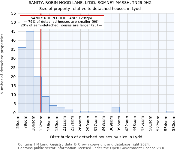 SANITY, ROBIN HOOD LANE, LYDD, ROMNEY MARSH, TN29 9HZ: Size of property relative to detached houses in Lydd