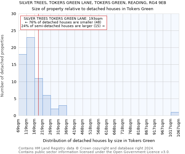 SILVER TREES, TOKERS GREEN LANE, TOKERS GREEN, READING, RG4 9EB: Size of property relative to detached houses in Tokers Green