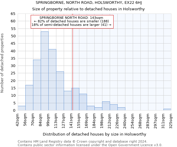 SPRINGBORNE, NORTH ROAD, HOLSWORTHY, EX22 6HJ: Size of property relative to detached houses in Holsworthy