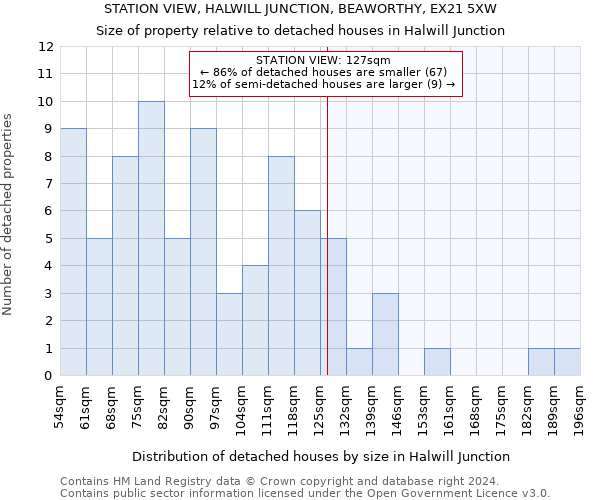 STATION VIEW, HALWILL JUNCTION, BEAWORTHY, EX21 5XW: Size of property relative to detached houses in Halwill Junction