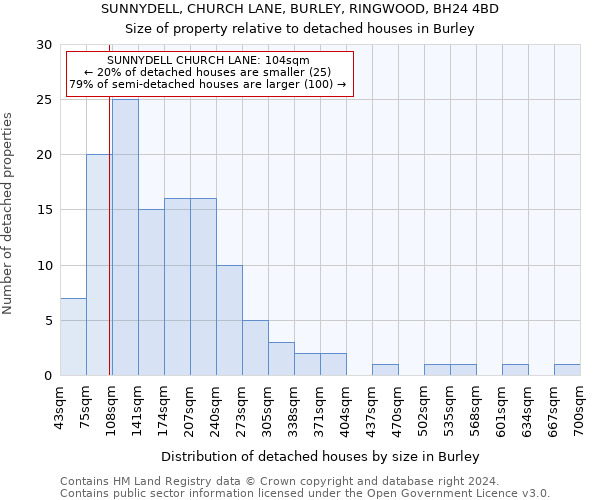 SUNNYDELL, CHURCH LANE, BURLEY, RINGWOOD, BH24 4BD: Size of property relative to detached houses in Burley