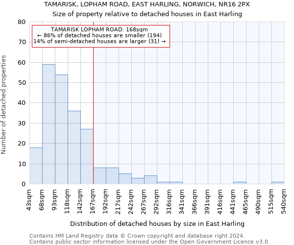 TAMARISK, LOPHAM ROAD, EAST HARLING, NORWICH, NR16 2PX: Size of property relative to detached houses in East Harling