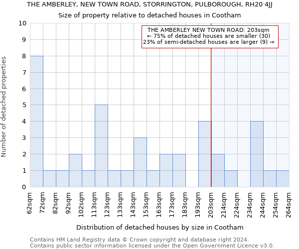 THE AMBERLEY, NEW TOWN ROAD, STORRINGTON, PULBOROUGH, RH20 4JJ: Size of property relative to detached houses in Cootham