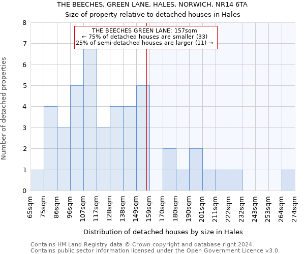 THE BEECHES, GREEN LANE, HALES, NORWICH, NR14 6TA: Size of property relative to detached houses in Hales