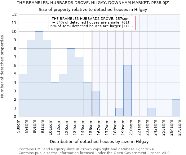 THE BRAMBLES, HUBBARDS DROVE, HILGAY, DOWNHAM MARKET, PE38 0JZ: Size of property relative to detached houses in Hilgay