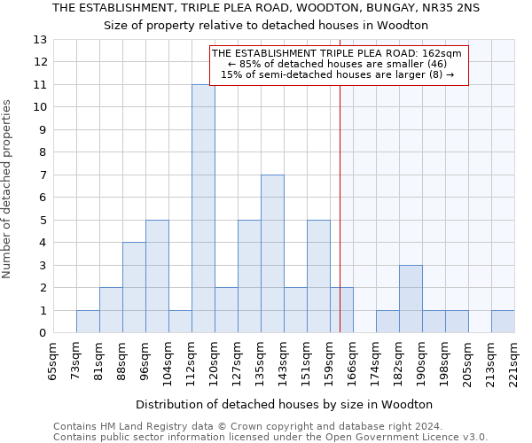 THE ESTABLISHMENT, TRIPLE PLEA ROAD, WOODTON, BUNGAY, NR35 2NS: Size of property relative to detached houses in Woodton