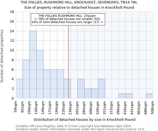 THE FOLLIES, RUSHMORE HILL, KNOCKHOLT, SEVENOAKS, TN14 7NL: Size of property relative to detached houses in Knockholt Pound
