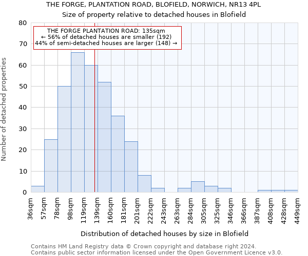 THE FORGE, PLANTATION ROAD, BLOFIELD, NORWICH, NR13 4PL: Size of property relative to detached houses in Blofield