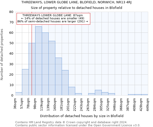 THREEWAYS, LOWER GLOBE LANE, BLOFIELD, NORWICH, NR13 4RJ: Size of property relative to detached houses in Blofield