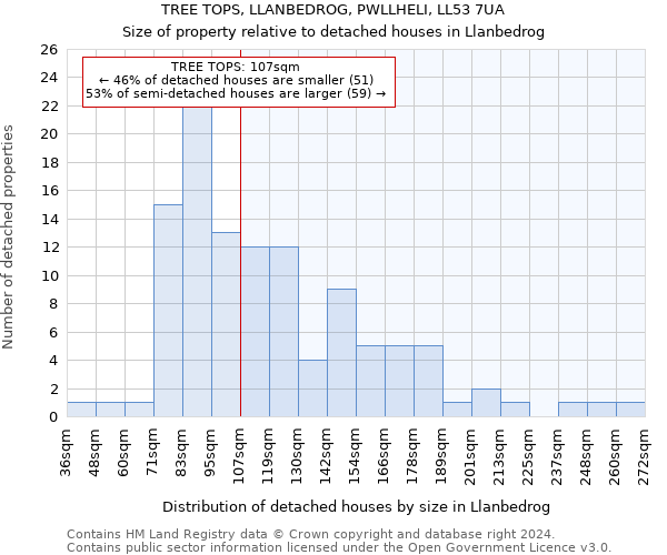 TREE TOPS, LLANBEDROG, PWLLHELI, LL53 7UA: Size of property relative to detached houses in Llanbedrog