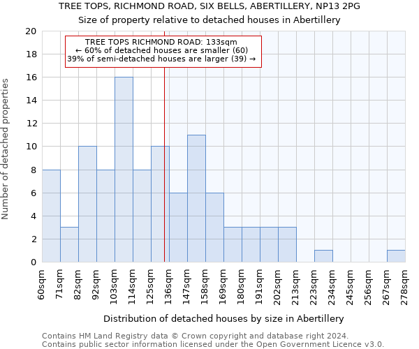 TREE TOPS, RICHMOND ROAD, SIX BELLS, ABERTILLERY, NP13 2PG: Size of property relative to detached houses in Abertillery