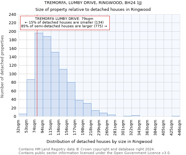 TREMORFA, LUMBY DRIVE, RINGWOOD, BH24 1JJ: Size of property relative to detached houses in Ringwood