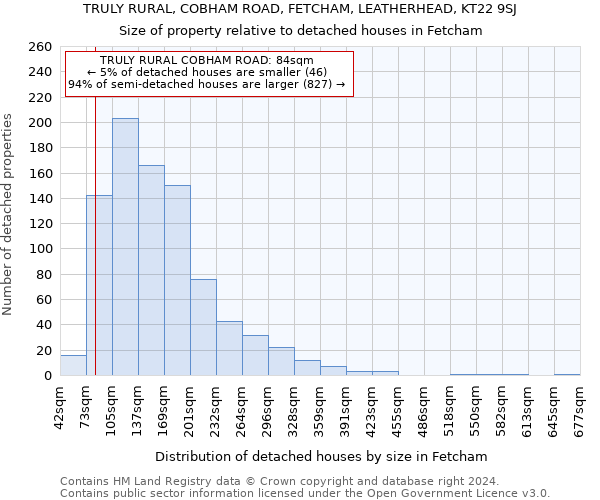 TRULY RURAL, COBHAM ROAD, FETCHAM, LEATHERHEAD, KT22 9SJ: Size of property relative to detached houses in Fetcham