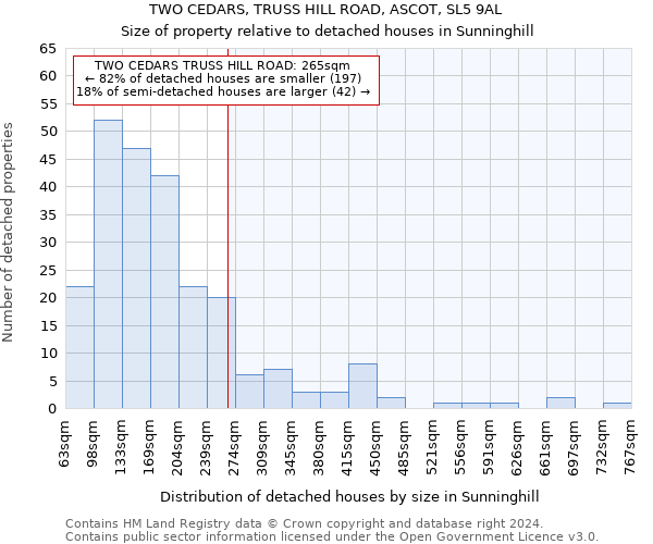 TWO CEDARS, TRUSS HILL ROAD, ASCOT, SL5 9AL: Size of property relative to detached houses in Sunninghill