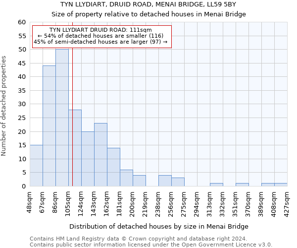 TYN LLYDIART, DRUID ROAD, MENAI BRIDGE, LL59 5BY: Size of property relative to detached houses in Menai Bridge