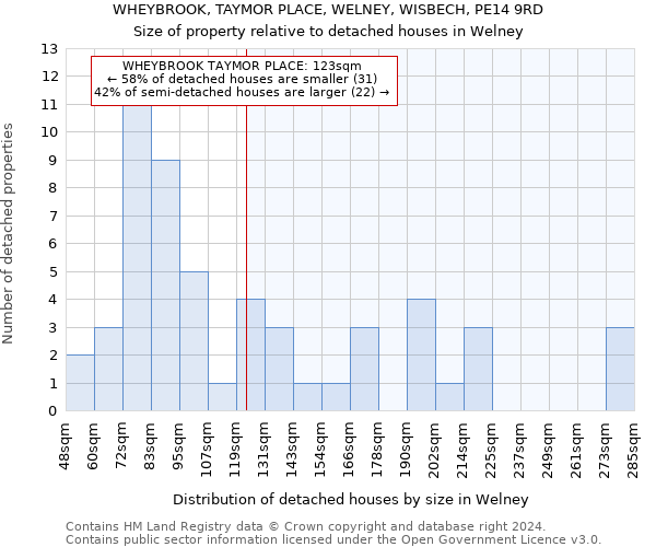 WHEYBROOK, TAYMOR PLACE, WELNEY, WISBECH, PE14 9RD: Size of property relative to detached houses in Welney