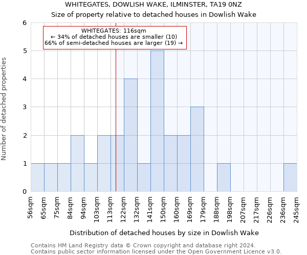 WHITEGATES, DOWLISH WAKE, ILMINSTER, TA19 0NZ: Size of property relative to detached houses in Dowlish Wake