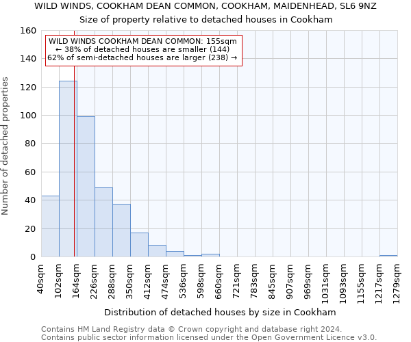 WILD WINDS, COOKHAM DEAN COMMON, COOKHAM, MAIDENHEAD, SL6 9NZ: Size of property relative to detached houses in Cookham