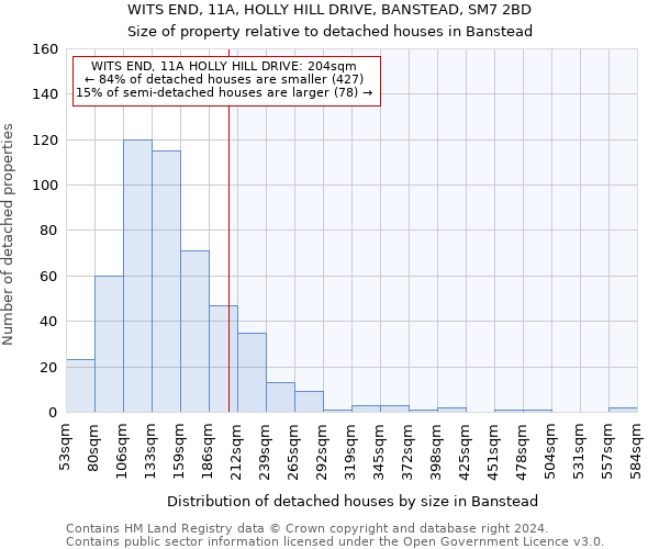 WITS END, 11A, HOLLY HILL DRIVE, BANSTEAD, SM7 2BD: Size of property relative to detached houses in Banstead