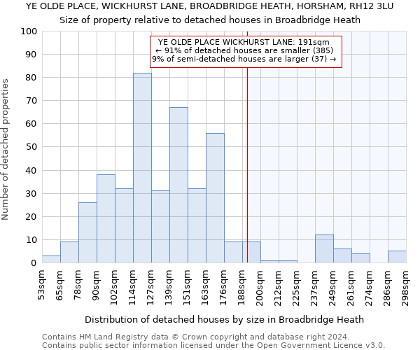 YE OLDE PLACE, WICKHURST LANE, BROADBRIDGE HEATH, HORSHAM, RH12 3LU: Size of property relative to detached houses in Broadbridge Heath