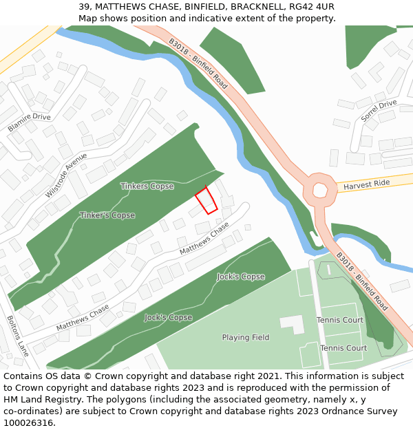 39, MATTHEWS CHASE, BINFIELD, BRACKNELL, RG42 4UR: Location map and indicative extent of plot