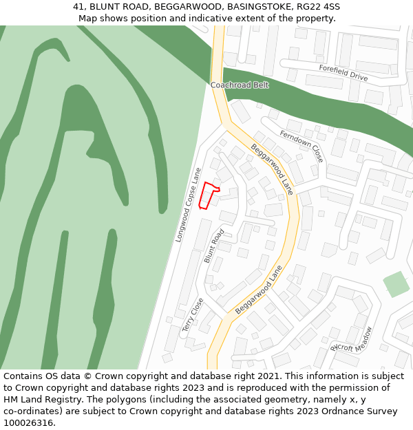 41, BLUNT ROAD, BEGGARWOOD, BASINGSTOKE, RG22 4SS: Location map and indicative extent of plot