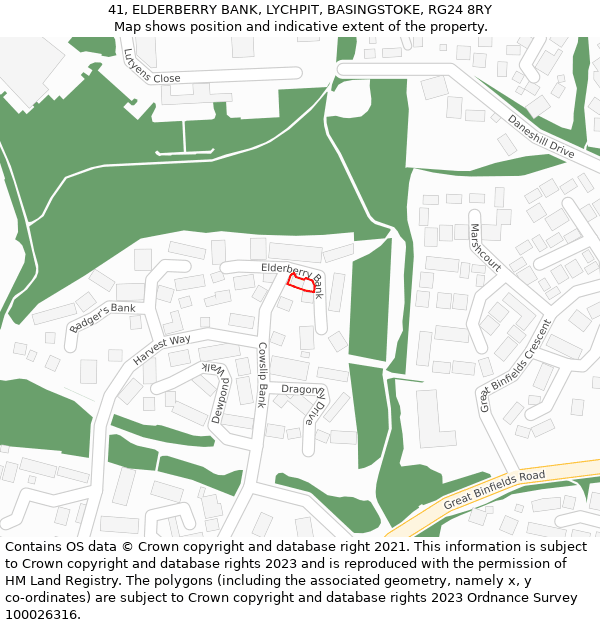 41, ELDERBERRY BANK, LYCHPIT, BASINGSTOKE, RG24 8RY: Location map and indicative extent of plot