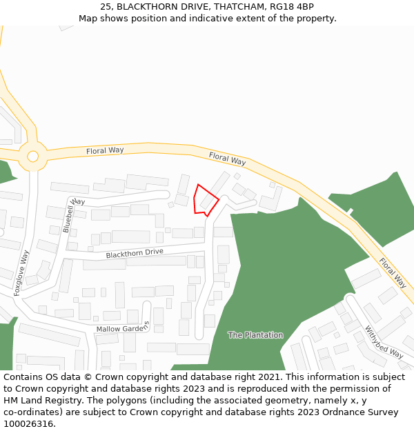 25, BLACKTHORN DRIVE, THATCHAM, RG18 4BP: Location map and indicative extent of plot