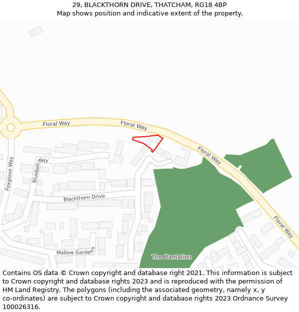 29, BLACKTHORN DRIVE, THATCHAM, RG18 4BP: Location map and indicative extent of plot