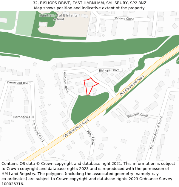 32, BISHOPS DRIVE, EAST HARNHAM, SALISBURY, SP2 8NZ: Location map and indicative extent of plot