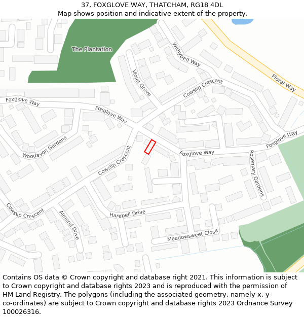 37, FOXGLOVE WAY, THATCHAM, RG18 4DL: Location map and indicative extent of plot