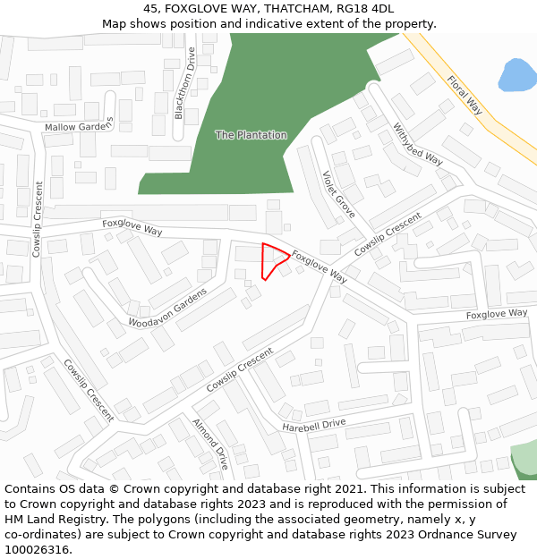 45, FOXGLOVE WAY, THATCHAM, RG18 4DL: Location map and indicative extent of plot