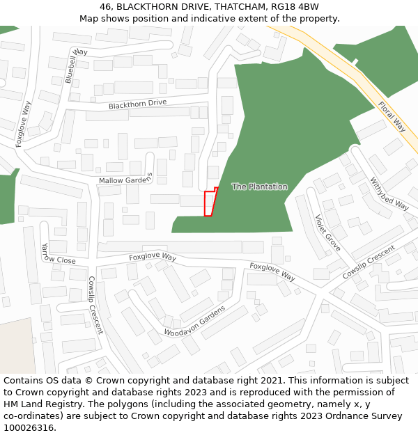 46, BLACKTHORN DRIVE, THATCHAM, RG18 4BW: Location map and indicative extent of plot