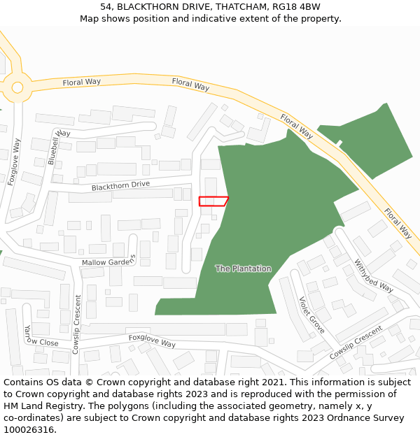 54, BLACKTHORN DRIVE, THATCHAM, RG18 4BW: Location map and indicative extent of plot