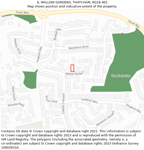 6, MALLOW GARDENS, THATCHAM, RG18 4ES: Location map and indicative extent of plot