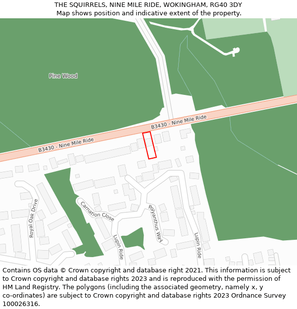 THE SQUIRRELS, NINE MILE RIDE, WOKINGHAM, RG40 3DY: Location map and indicative extent of plot