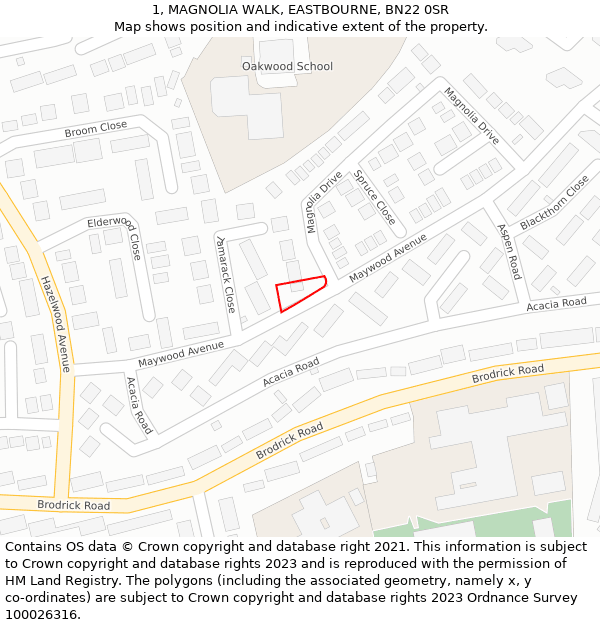 1, MAGNOLIA WALK, EASTBOURNE, BN22 0SR: Location map and indicative extent of plot
