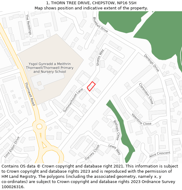 1, THORN TREE DRIVE, CHEPSTOW, NP16 5SH: Location map and indicative extent of plot